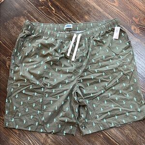 Old Navy Men’s 100% Cotton shorts cactus green drawstring XXL